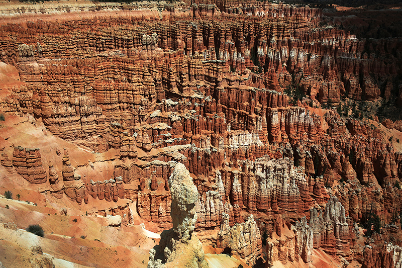 Bryce Canyon : Utah : Landscape Photos : Richard Moore : Photographer